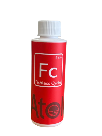 Fishless Cycle