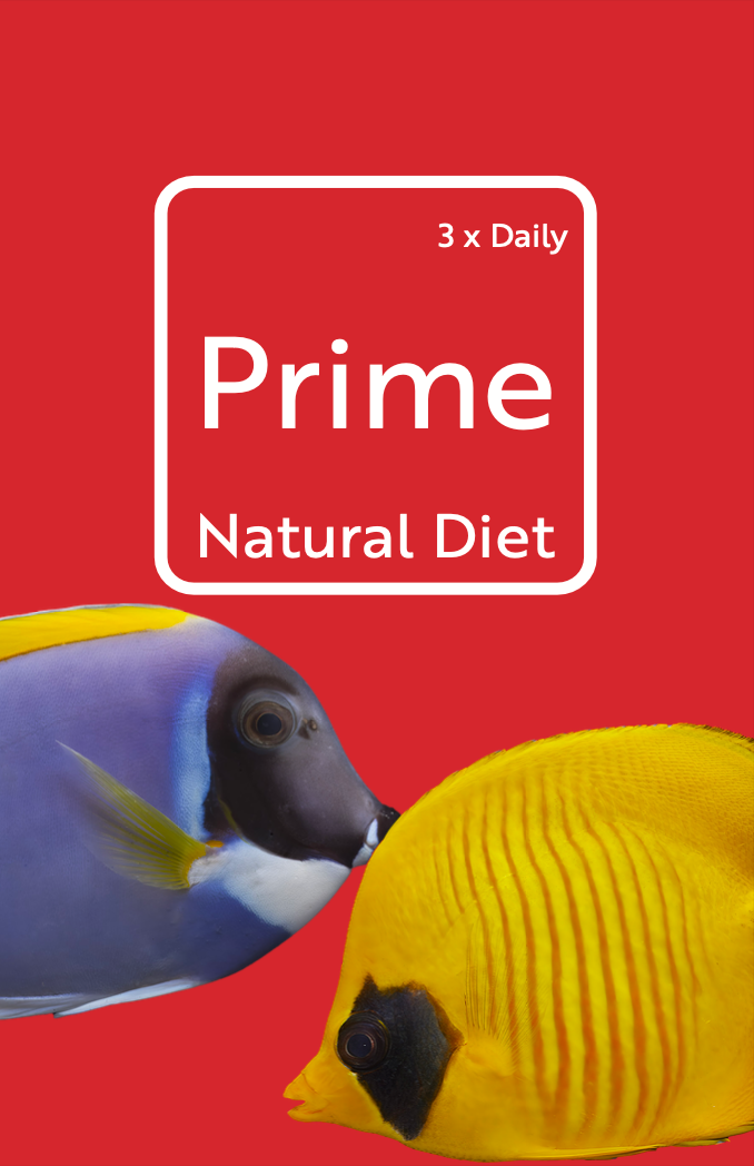 Prime Frozen Fish Food