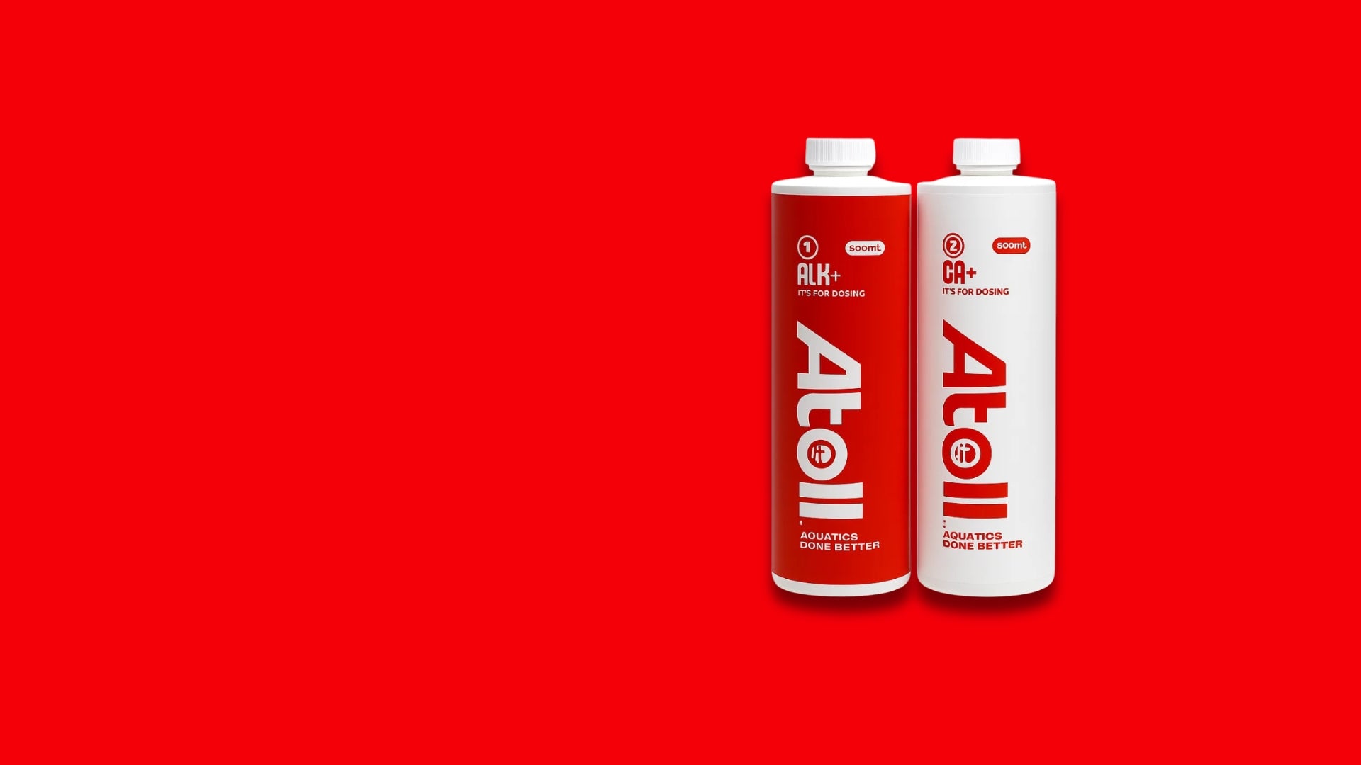 Seaweed – Atoll Aquatics